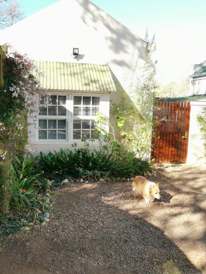 Hotel 30 Oak Street Greyton Esterno foto