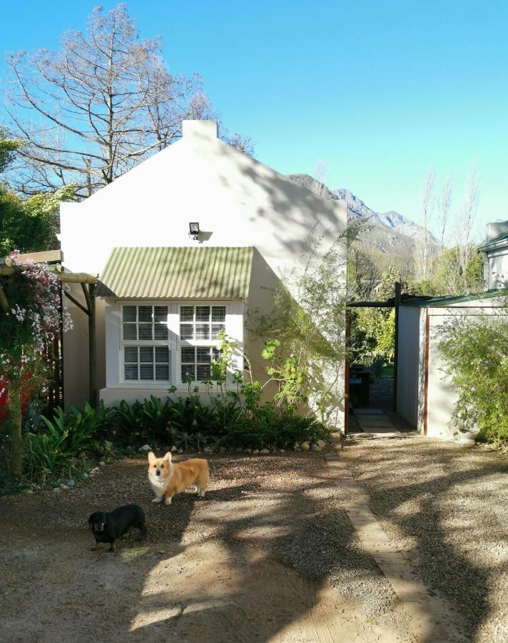 Hotel 30 Oak Street Greyton Esterno foto